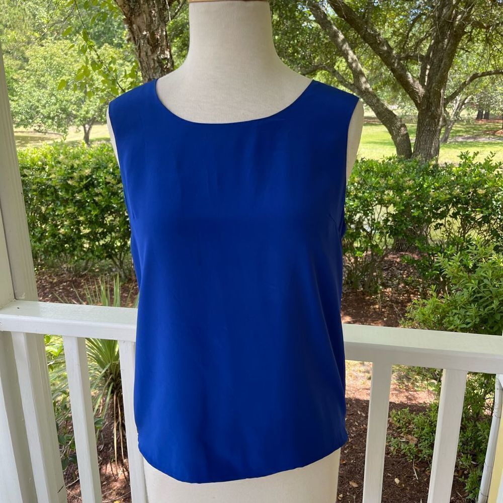 Aaron Ashe Cobalt Open Back Sleeveless Blouse